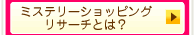 �~�X�e���[�V���b�s���O���T�[�`�Ƃ́H